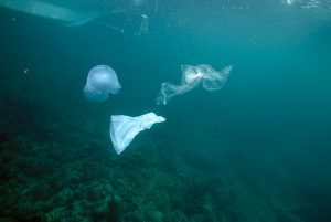 浮游在深海的塑料袋